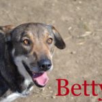 Betty (6)