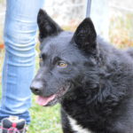 Jack (18)