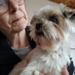 Pinca (9)