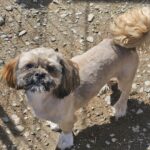 Timmy (1)