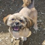 Timmy (6)