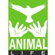 Animal Life Sibiu