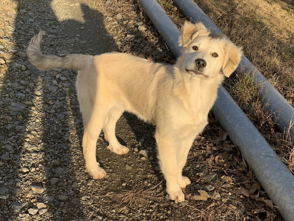 Chloe