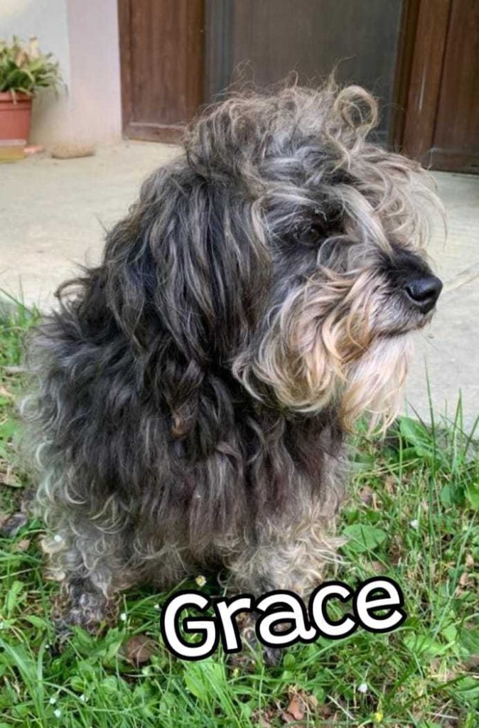 Grace