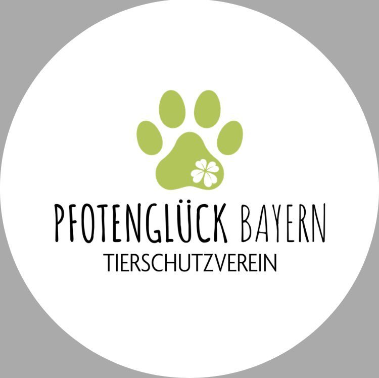 Pfotenglück Bayern
