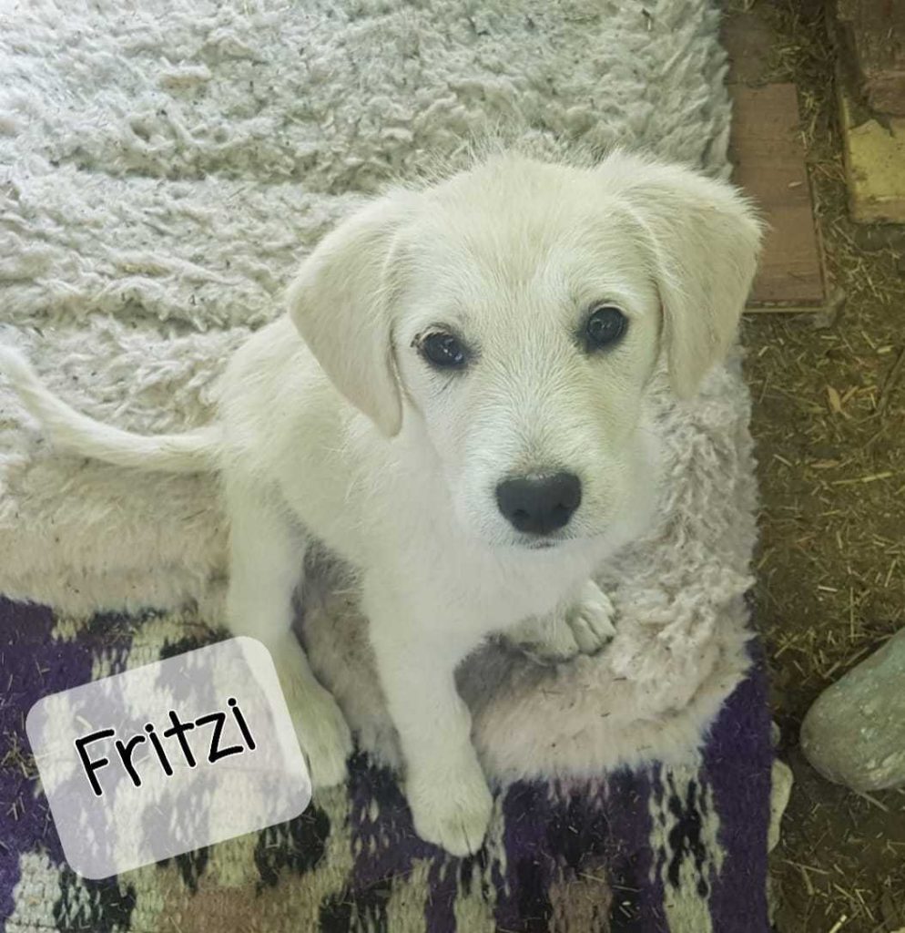 Fritzl