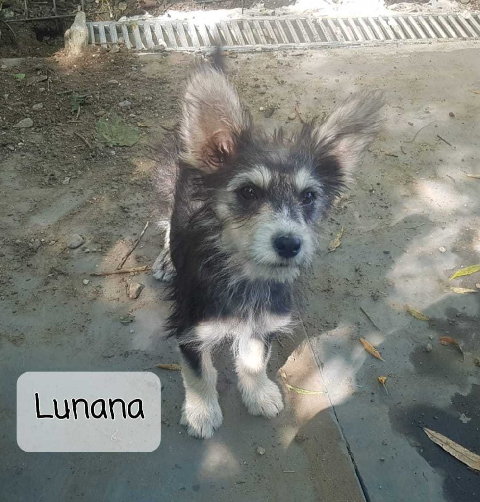 Lunana