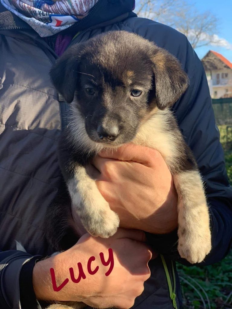 Lucy