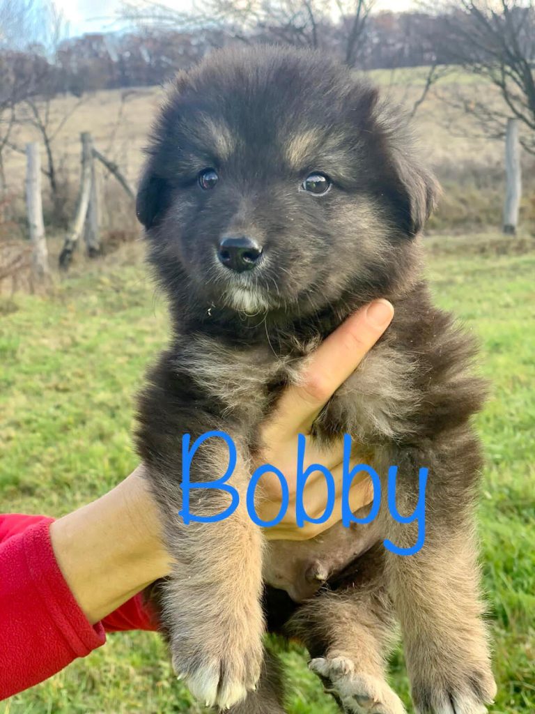 Bobby