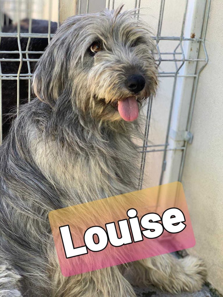 Louise